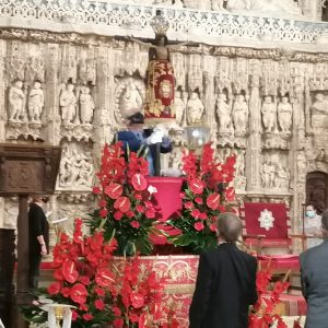 img_20210912_080645 img_20210912_080645